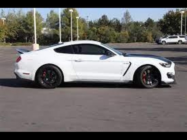 BUY FORD MUSTANG 2017 SHELBY GT350 FASTBACK, Frontline Auctions LLC